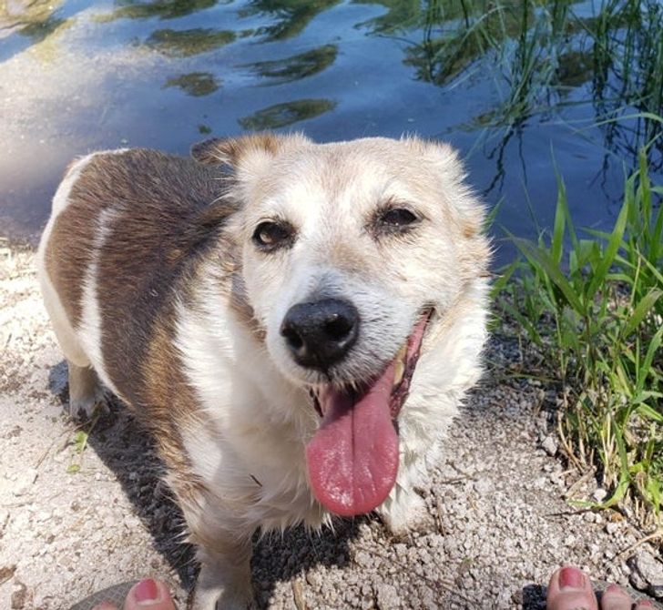 8807ec5c1daf89536c060c51c2