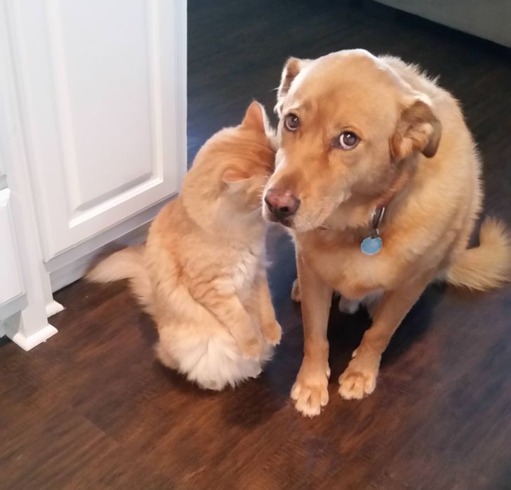 8808685702840f512cb2afc7b8