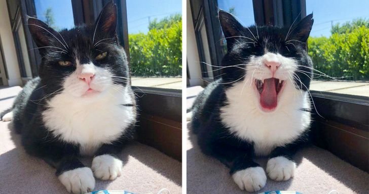 88109352eaa69ef7226d17c003