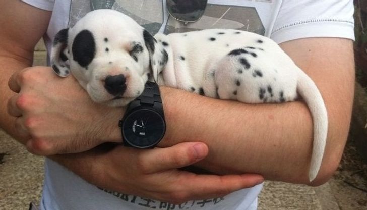 88171c53a195dfeba240848806