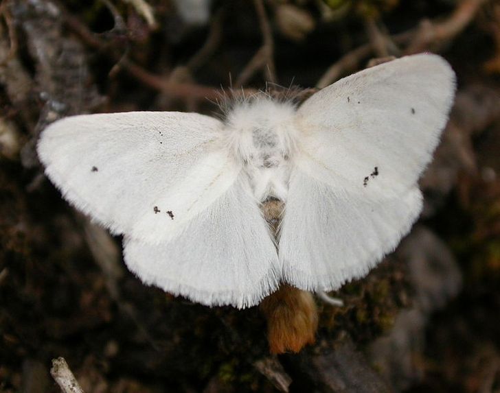 88175a5019a3c224fbfe61e17f