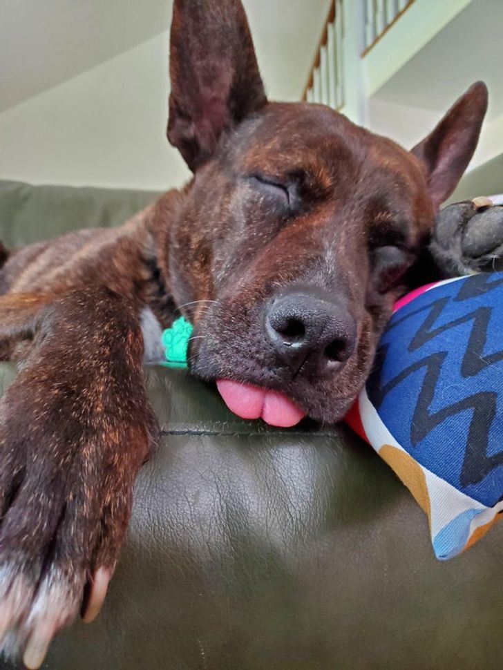 881b0e58f49a18a7a57910ca52