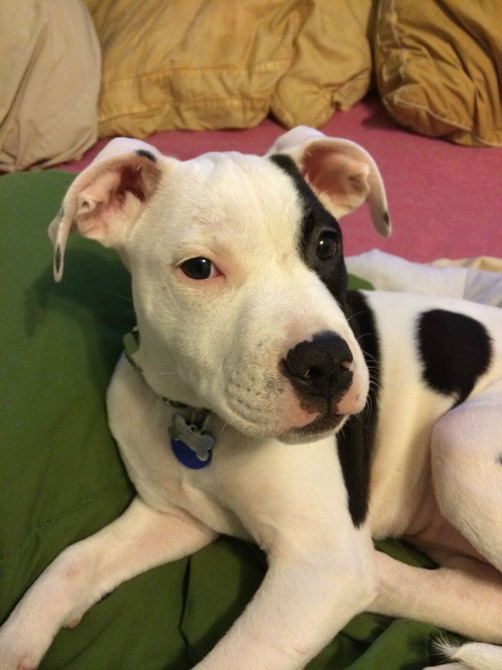 881daf50a381b2a523e66c220c