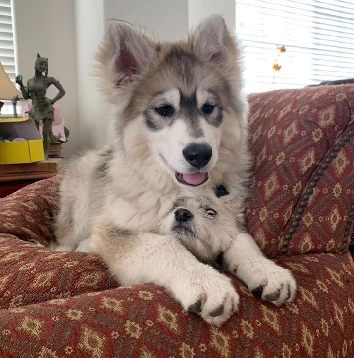 882b69553baac1f52982ad5b78