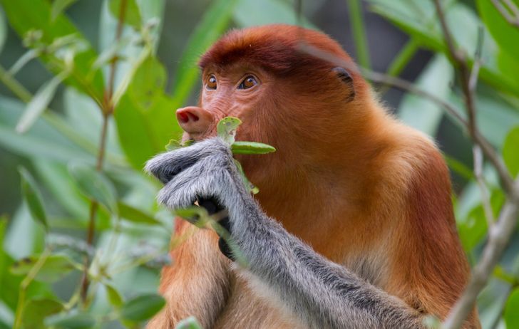 88383059e4a8dc03eefcd0604a