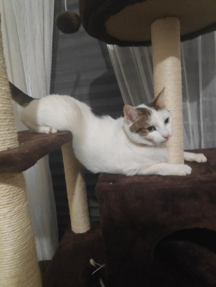 883f7e5f93abd5962914d03665