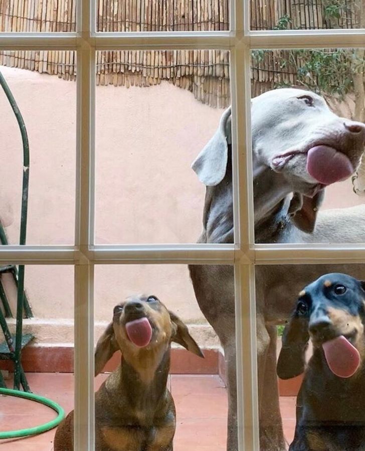 884c2c57318e16cd6383c59b03