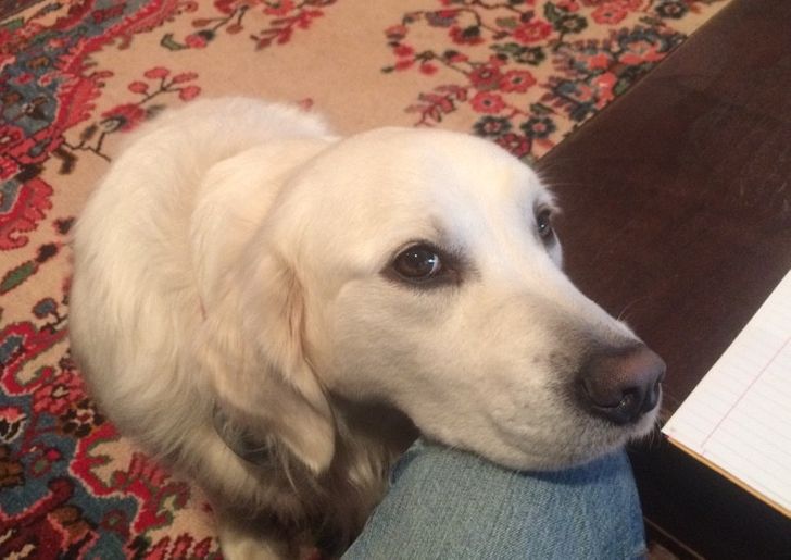 884f295f38a18b77f2efabf590