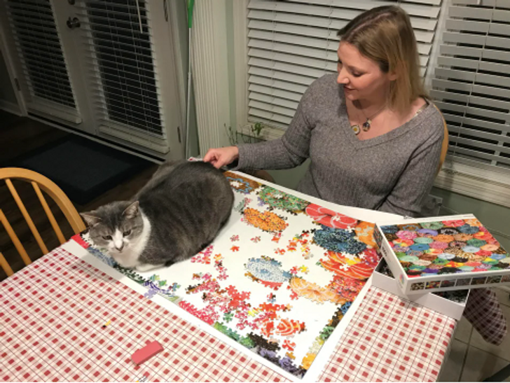 88537b54dba20151ce441a97aa 88537b54dba20151ce441a97aa