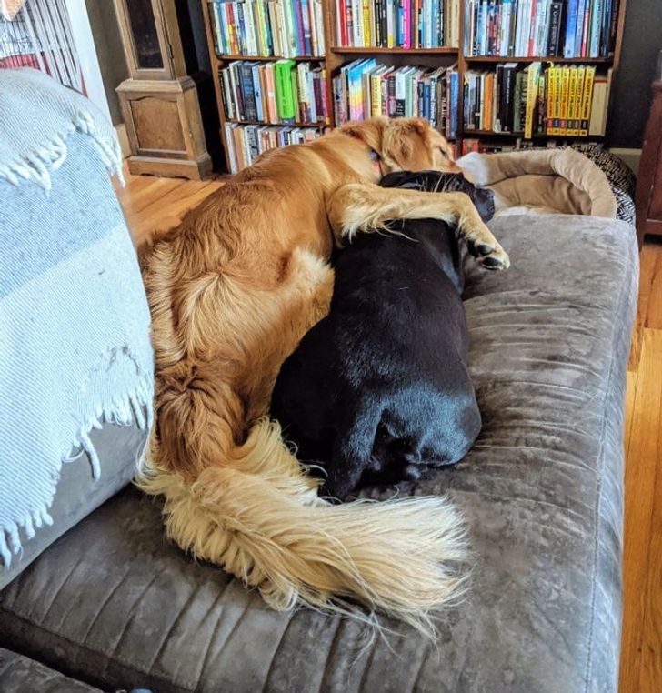 8858d25e0fb523e012d250e4a6