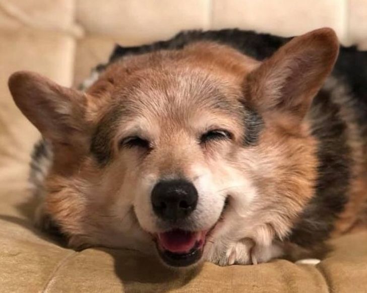 8862615159b6b6a71e2d5aabd4