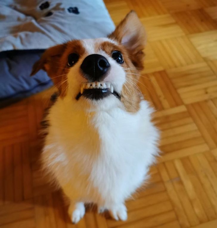 88649358b39562b4fd4f2790e3