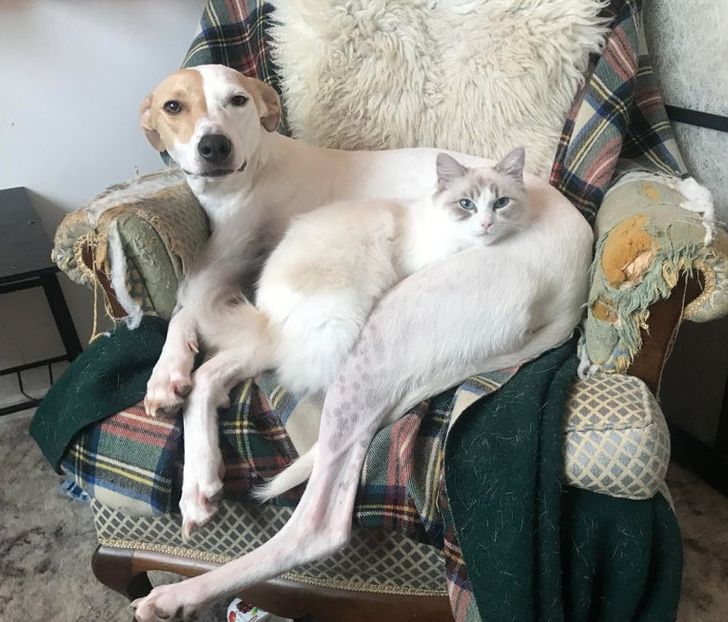 8864ce5b45b2f63ccd5df36a38