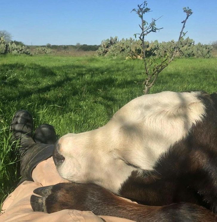 886bac5e46b936a79b05aab724