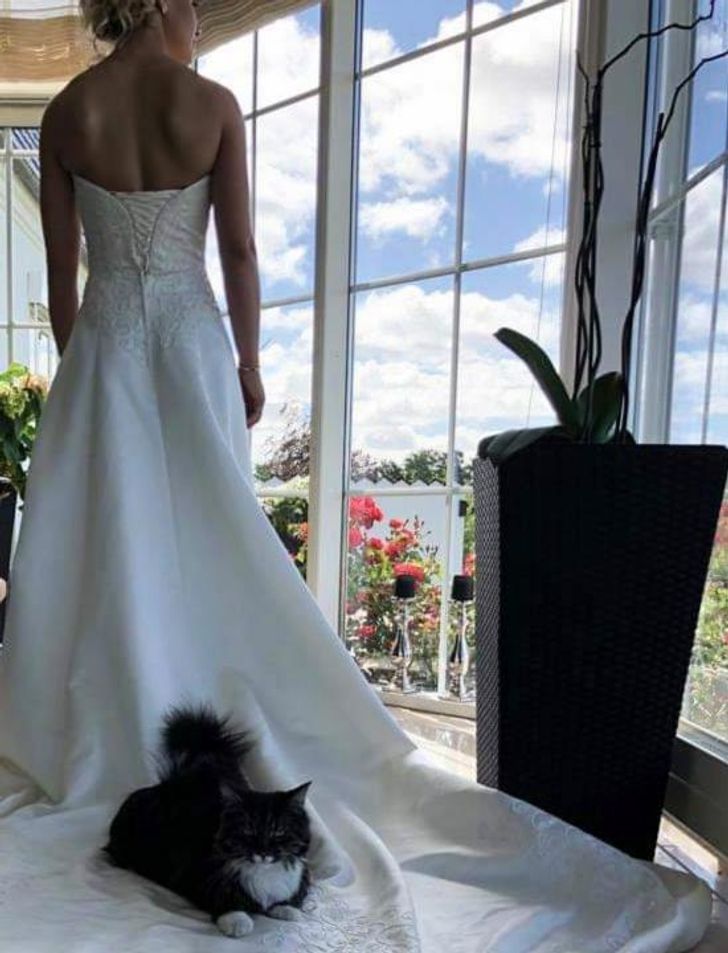 8872ff526bb4402bcc709aa827