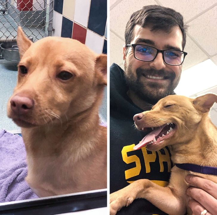 887dc553a782514ebe8a500a64