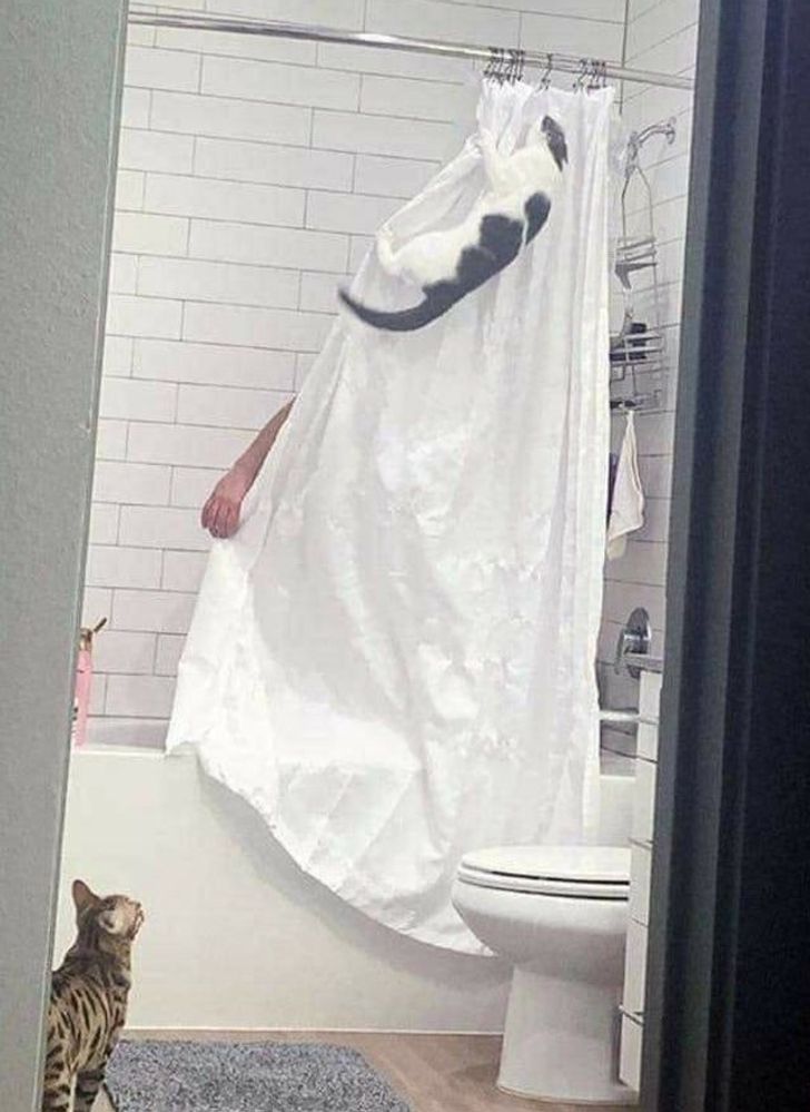 8883645324b19b204471d26ac8