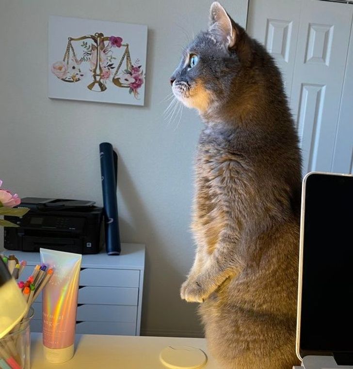 8893a25ee886f6f299d65f1d1d