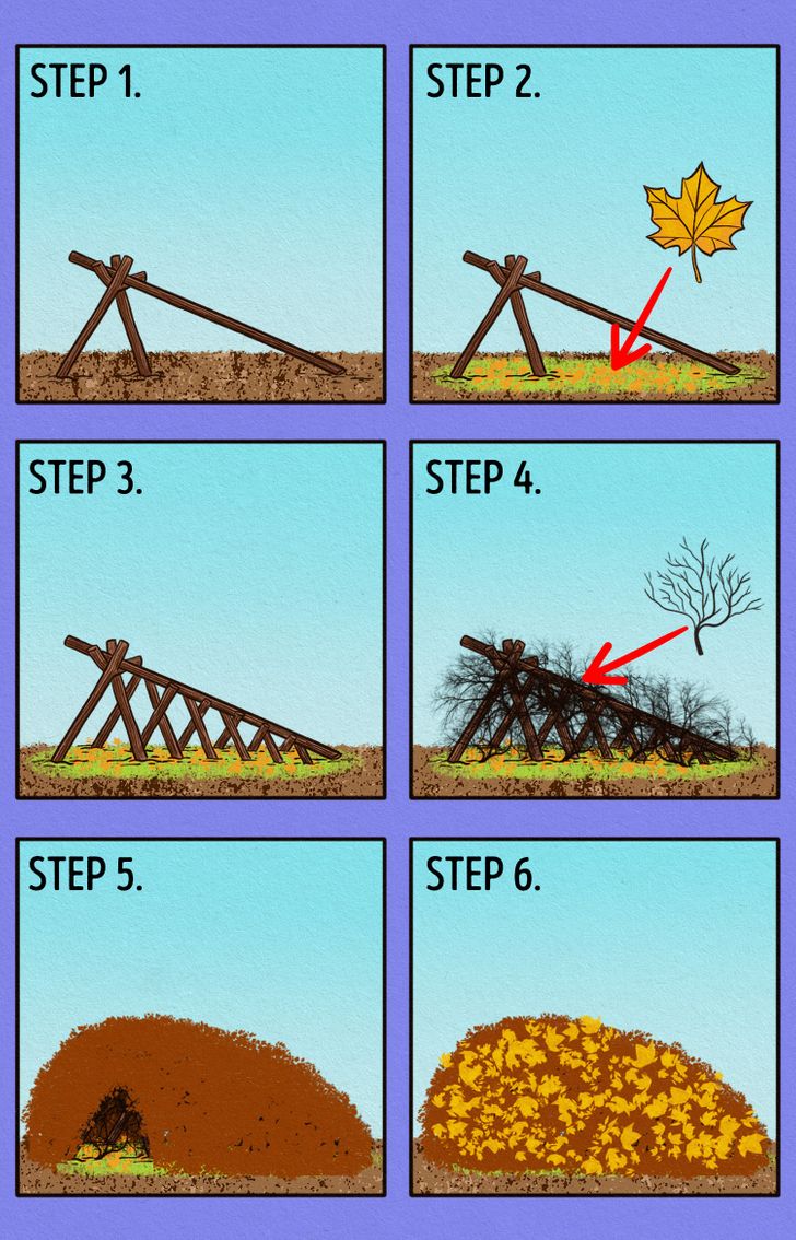 8895865c22a4c4b74886d681f3