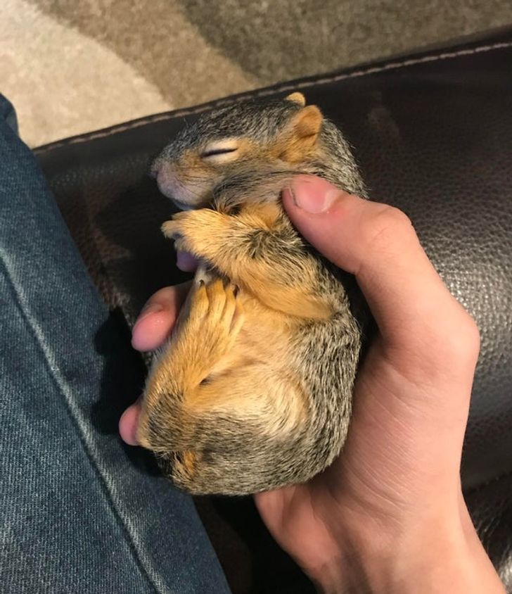 88abf9541e88ac9e69b067b9f8