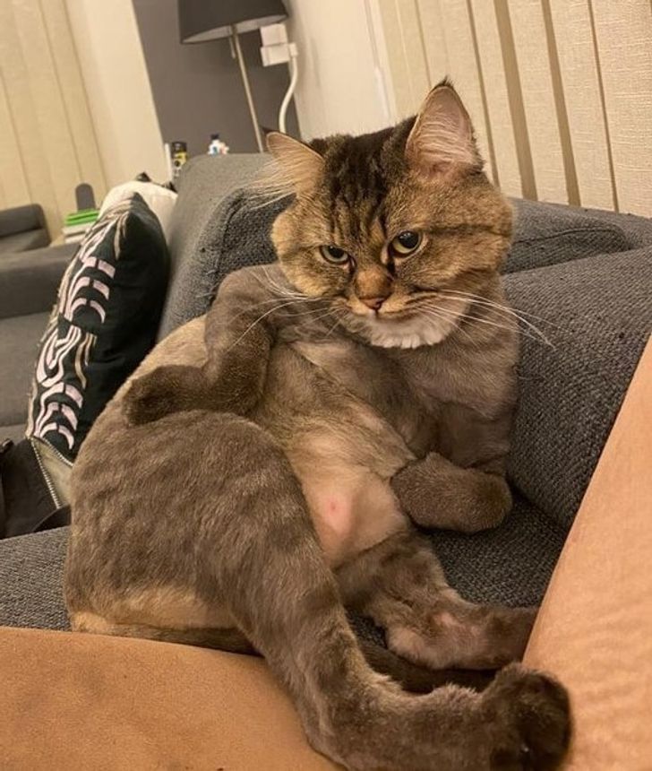 88c52a5649b2c38c82227bae11