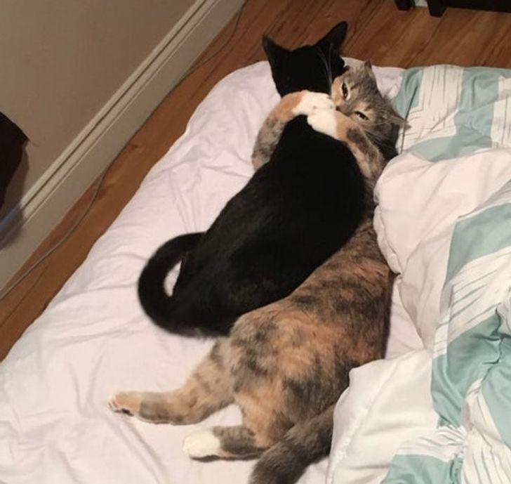 88c753564ba39ffbec526000d2