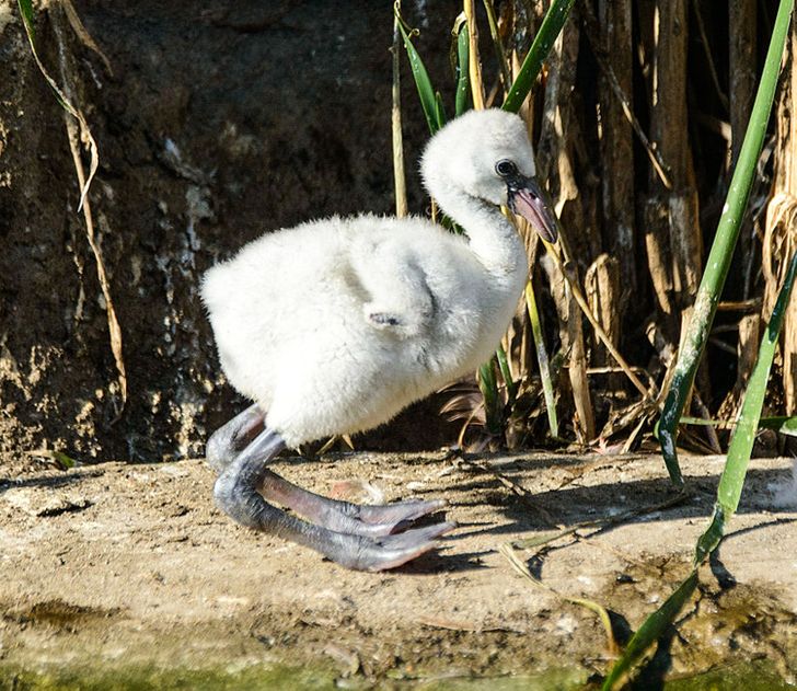 88c8ec56518d33f0b0d4dae70e