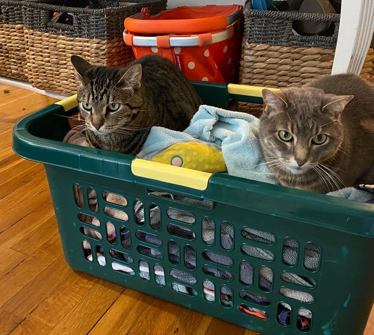 88cd3355e4878fbbb22089bd55