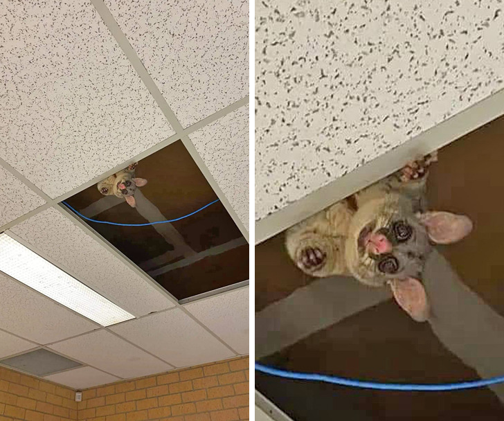 88ced85c5188741808f90a370f