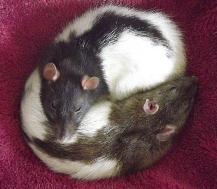 88d253566f9fd60a5e7f822247