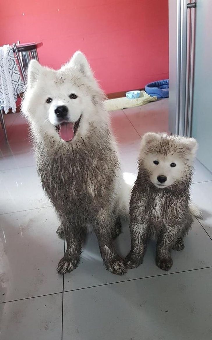 88d36852b9869c79d0bed913d5