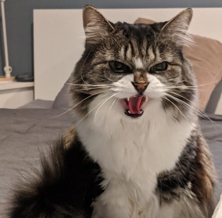 88de3c54419bc6de9faeff008f