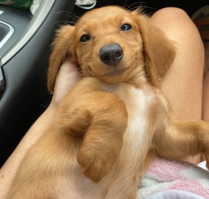 88de7b57a6ab3feac10ce196a2