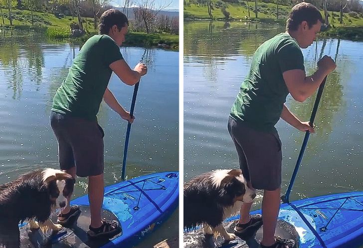 88decf57ae805c0dc372dc710d