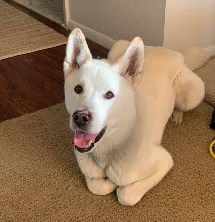 88df565eb7b5980d87ac4421c1