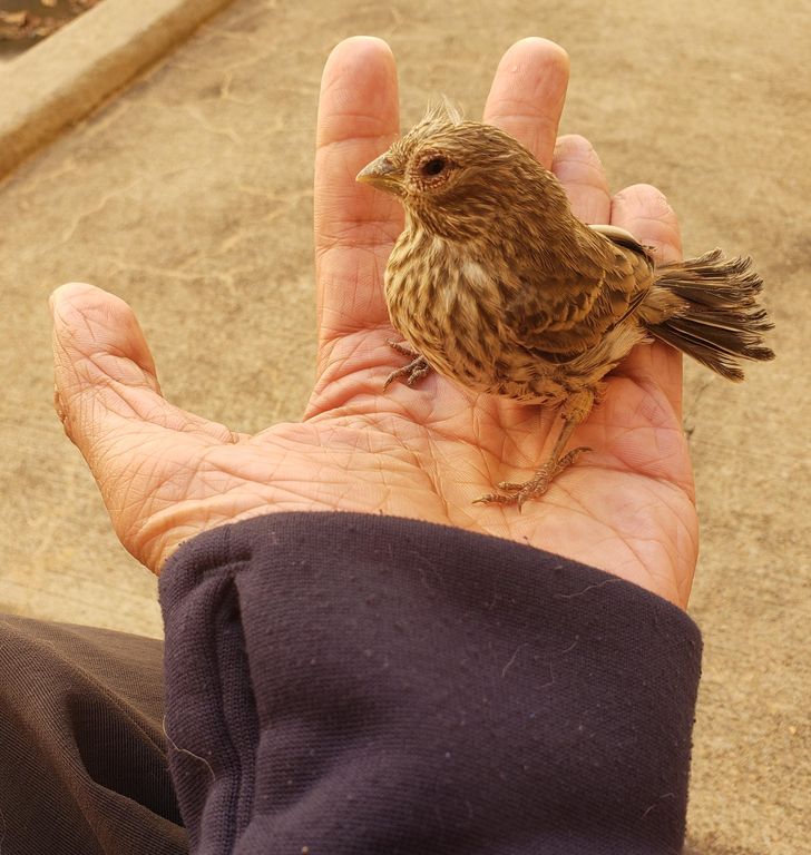 88e21a591aaad7068902d3c340