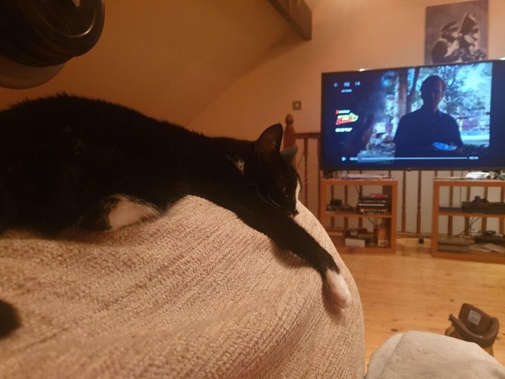 88e5e950298abf9401876dc299