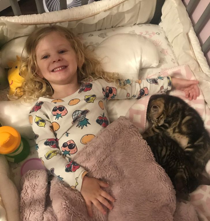 88e7835047b2ee39b67577b962