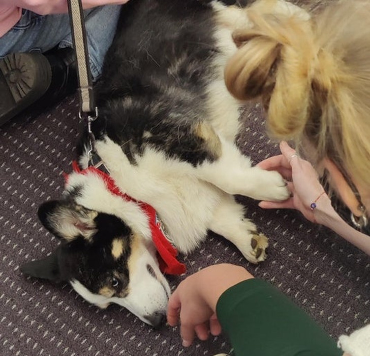 88ebb2532c8026651f92c60bb1 88ebb2532c8026651f92c60bb1