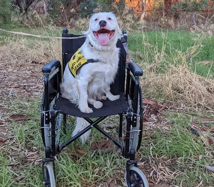 88f2625fbaac18c1bcbb42981a