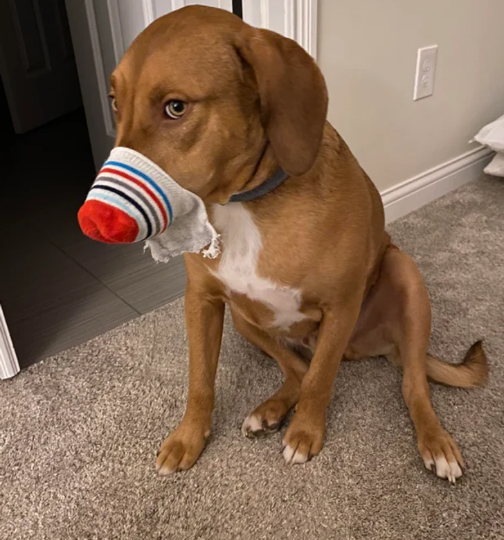 88f7d45bc6a2dadb66cbd60a85 88f7d45bc6a2dadb66cbd60a85