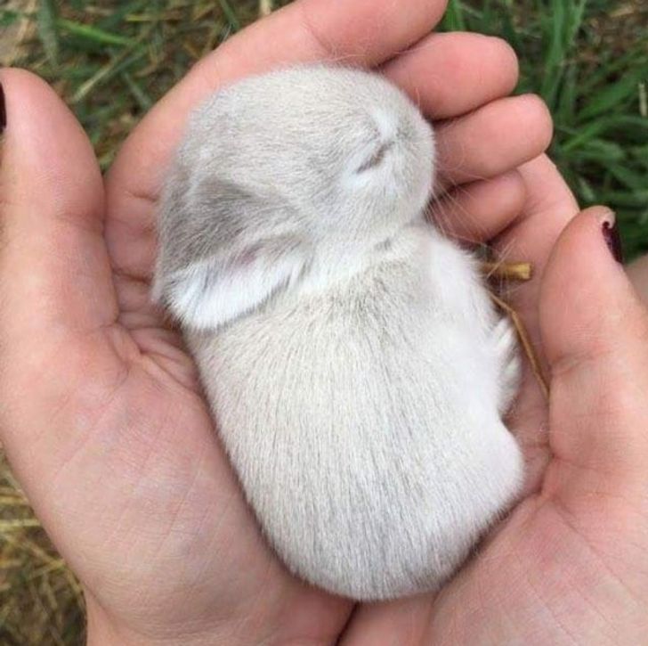 8902545292a248cc350e00ad40