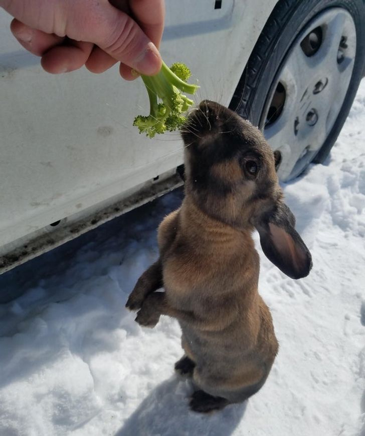 890b60583395f6f12763651004 890b60583395f6f12763651004