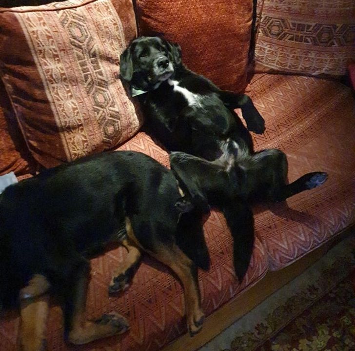 8912fe5505b8edceefbe111c85