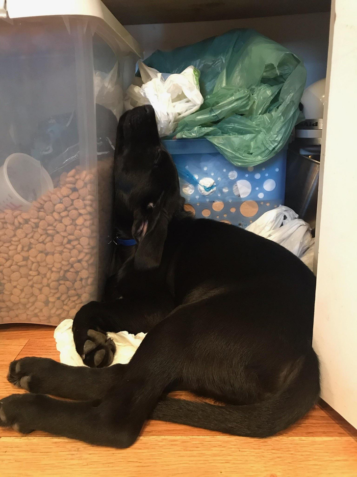 89130d54509026f741e1d4a2c2