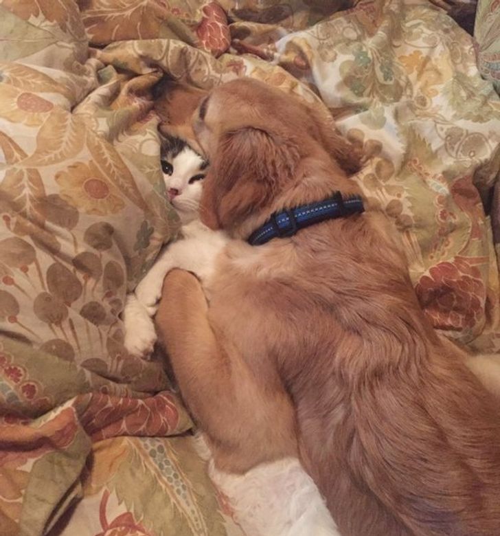 89138359569cbbe6c9c5b1fcf2