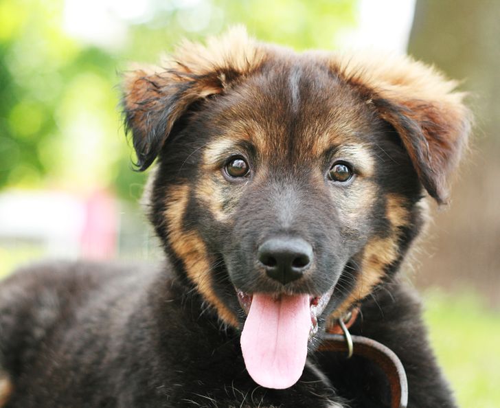 89184853d5ac50927993d2ea63