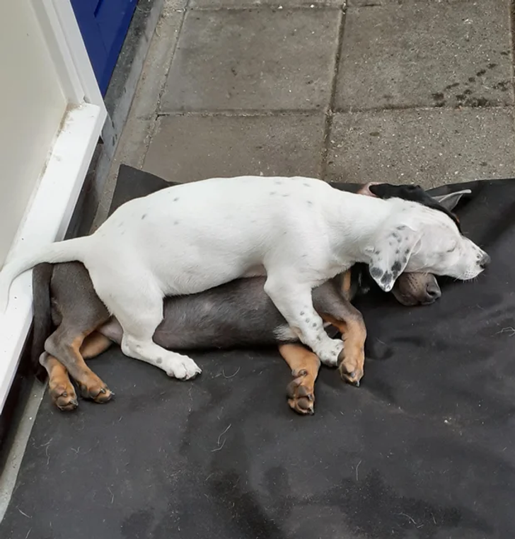 8918ef5ece8ed58edd45634d71 8918ef5ece8ed58edd45634d71