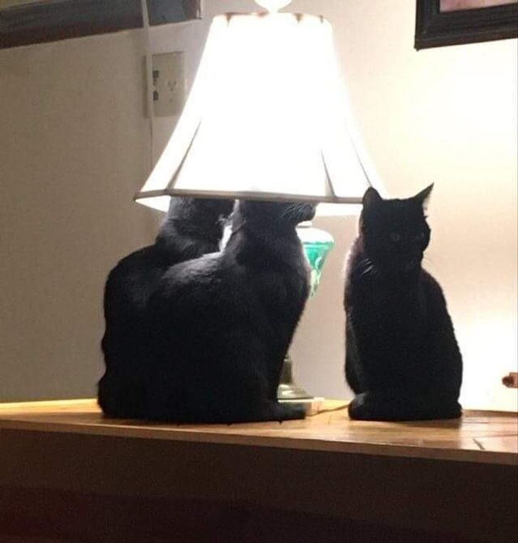 891adc51a58762709f4e844dd8