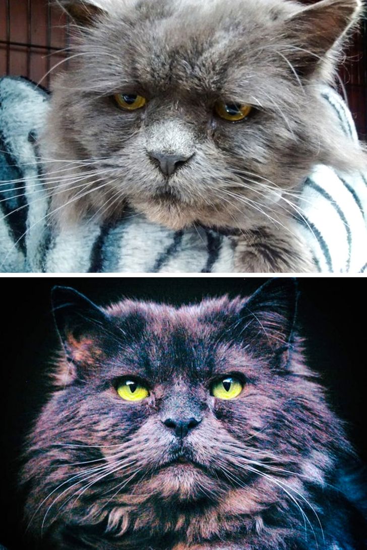 8920025e96ae39c045f1eac4fa